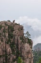 Stone Monkey in Mountain Huang China