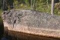 Woods of Karelia. Stone monolith Royalty Free Stock Photo