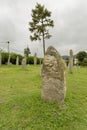 Stone monolith in the Los Menhires archaeological reserve located in the town of El Mollar in Tucuman Royalty Free Stock Photo