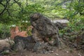 STONE MONOLITH AT MOUNTAINS Royalty Free Stock Photo