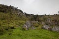 Stone monoliths countrysidelandscape with cloudy forest and rainy sky