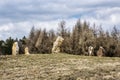 Stone monoliths in Stiavnica Mountains, Slovakia