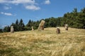 Stone monoliths in Stiavnica Mountains, Slovakia