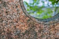 Stone monument taken outdoors in Japan