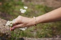 Stone morganite bracelet on female hand Royalty Free Stock Photo