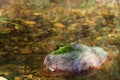 Stone with moss on the river Royalty Free Stock Photo