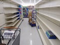 Big Lots 2018 retail discount store interior empty shelves