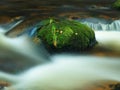 Stone in the mountain river with wet mossy carpet and grass leaves. Fresh colors of grass, deep green color of wet moss Royalty Free Stock Photo