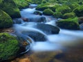 Stone in the mountain river with wet mossy carpet and grass leaves. Fresh colors of grass, deep green color of wet moss Royalty Free Stock Photo