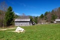 Stone Mountain State Park