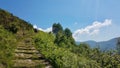 Stone mule trail at Cima Sasso in Val Grande, national park in Piedmont, Italy.