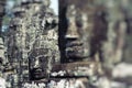 Stone murals and sculptures in Angkor wat, Cambodia Royalty Free Stock Photo