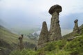 Stone mushrooms, Altai