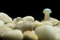 Stone mushrooms made from mixed gemstones and crystalize rock showing unique patterns and colours used in natural healing