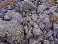 Stone natural background. Moss stone. Stones boulders covered with moss. Photo Royalty Free Stock Photo