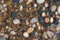 Stone natural background. Wet pebble stones in water Royalty Free Stock Photo