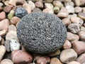 stone nature rock Royalty Free Stock Photo
