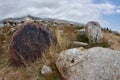 Stone with neolithic tribal petroglyph, depicting mountain goat,Cholpon Ata, Issyk-Kul lake shore, Kyrgyzstan,Central Asia Royalty Free Stock Photo