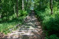 Stone old neglected stairs in the forest. Old path in the city park Royalty Free Stock Photo
