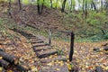 Stone old staircase in the autumn forest