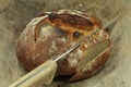 Stone oven bread Royalty Free Stock Photo