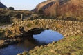 Stone Packhorse Bridge Royalty Free Stock Photo