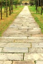 Stone path Royalty Free Stock Photo