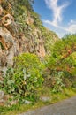 Stone path along the sea coast on sunset with rocky cliff on the side and blue sky near Nafplio cit Royalty Free Stock Photo