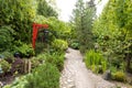 Stone path in a beautiful romantic garden, Hortulus Royalty Free Stock Photo