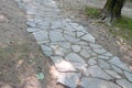 stone path in the colo forest Royalty Free Stock Photo