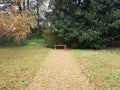 Stone path covered in brown pine needles and bench and grass