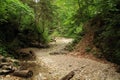 Stone path in dry riverbed of river SuchÃÂ¡ BelÃÂ¡ in Slovak Paradise Royalty Free Stock Photo