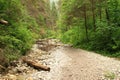 Stone path in dry riverbed of river SuchÃÂ¡ BelÃÂ¡ in Slovak Paradise Royalty Free Stock Photo