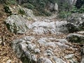 Stone path in the forest, close-up. Mountain landscape. Royalty Free Stock Photo