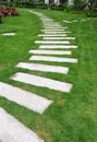 Stone path in garden