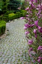 Stone path in garden. Green pavment. Royalty Free Stock Photo