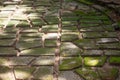 Stone path. garden path of stones overgrown with moss Royalty Free Stock Photo