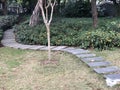 A footpath paved with stones on the grass