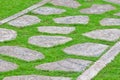 Stone path on green grass Royalty Free Stock Photo