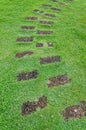 Stone path on green grass Royalty Free Stock Photo