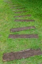 Stone path on green grass Royalty Free Stock Photo