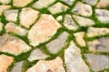 Stone path in green grass garden pattern Royalty Free Stock Photo