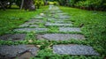 Stone path through greenery Royalty Free Stock Photo