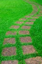 Stone path in the infield grass