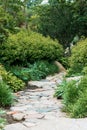 Stone path through the japanese garden