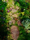 Stone path in the middle of flowers