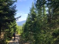 Trail in high mountains through forest and view of distant mountain range. Sudets, Poland Royalty Free Stock Photo