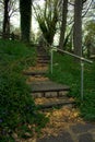 A Stone Path In an Overgrown Park Full of Greenery Royalty Free Stock Photo