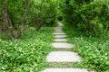 Stone path Royalty Free Stock Photo