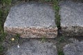 A stone path in the park and a granite staircase with steps. Stone steps in the garden Royalty Free Stock Photo